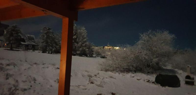 Holzblockhaus Magdalena Villa Altenberg Eksteriør billede